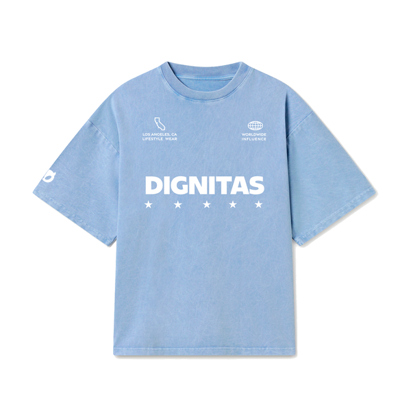 DIG LA Tee - Blue